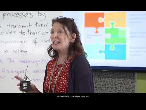 IFN001 AIRS - The research question - Activity