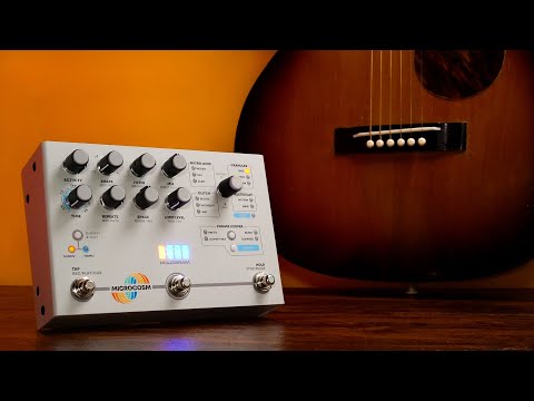 Hologram Microcosm: Acoustic Guitar / Granules Presets