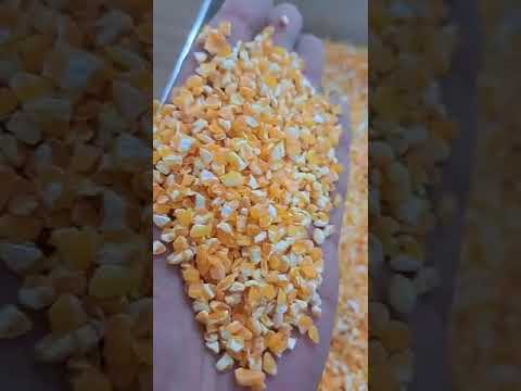Maize Grits