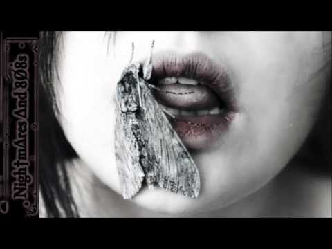 ± lunar⋆vision - boring /w pauline seaver ±