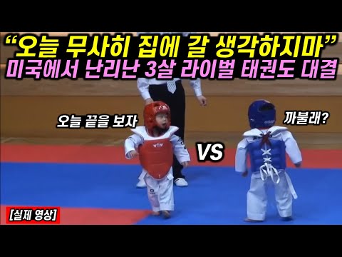 [유튜브] 미국에서 난리난 3살 라이벌들의 태권도 대결 레전드 영상