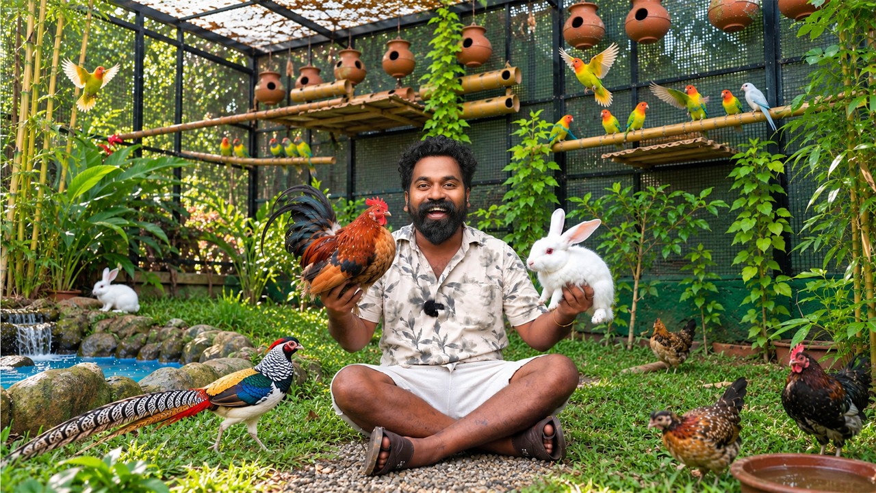 Ep 10 Building A Giant Bird House | കിളികൂട്ടിലേക്ക് കാട്ടു കോഴിയും മുയല?