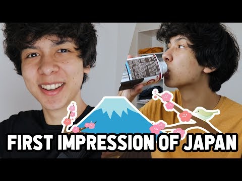 我對日本的第一印象是＿＿，你認同嗎？(My first impression of Japan)