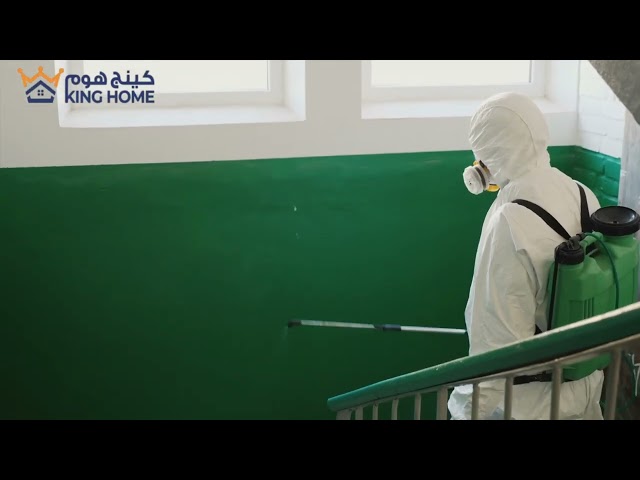 شركة مكافحة حشرات في ام القيوين