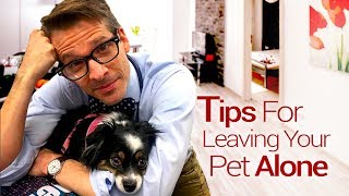 Tips for Separation Anxiety