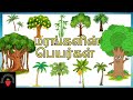 மரங்களின் பெயர்கள் தமிழ் Trees Names In Tamil Marangalin