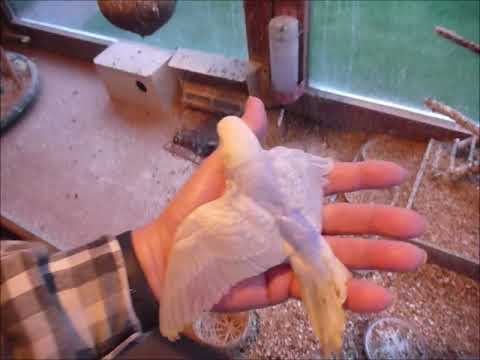 2020 01 24 Ein Neuer