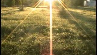 On The Basis - by Forest City Lovers