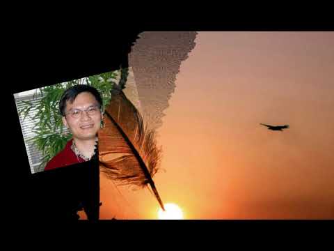 Thể hiện bởi Ngọc Quy