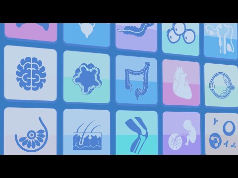 HCA Biological Networks Seminar Series: Oral & Craniofacial and Skin Networks