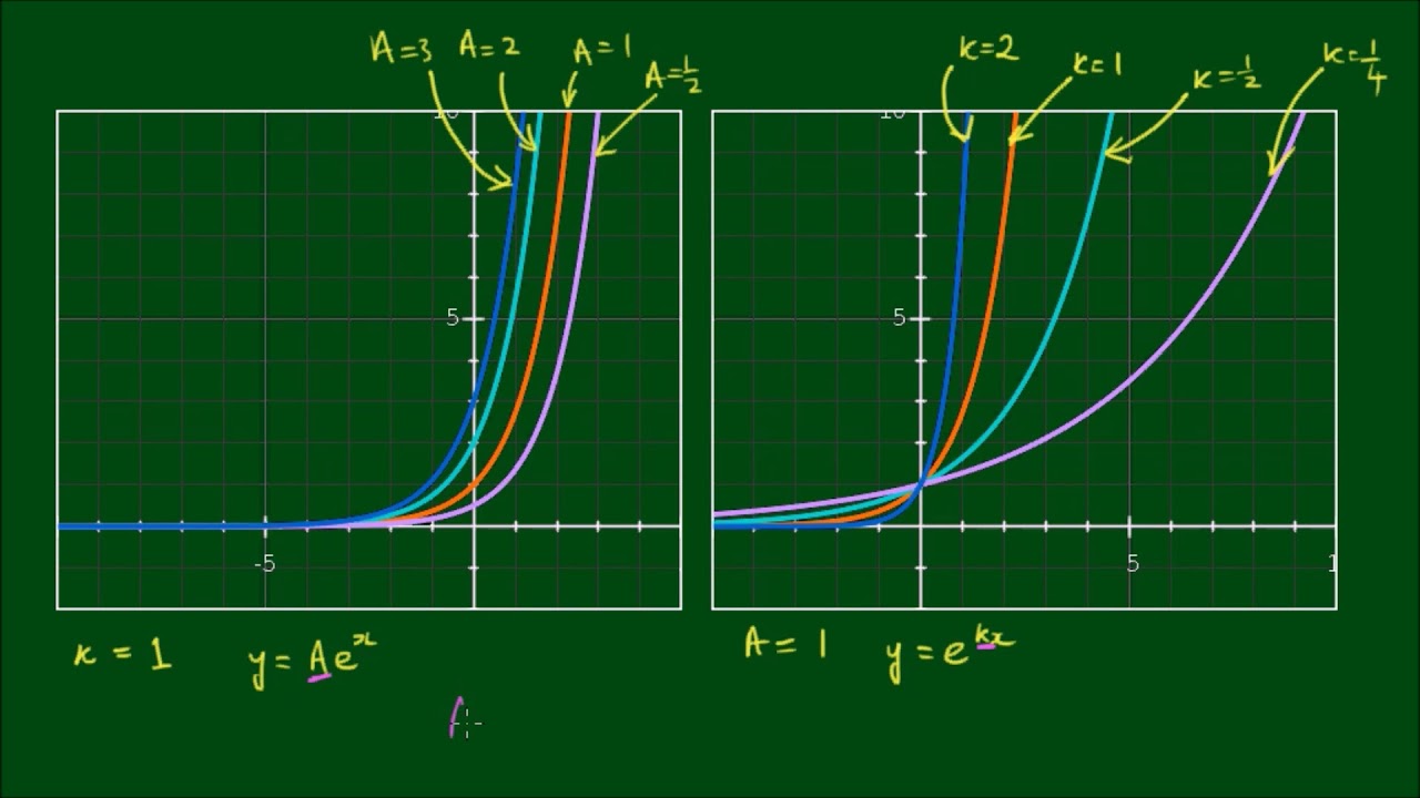Modelling Exponential Growth of Bacteria with dy/dx = ky