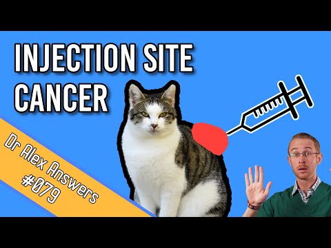 Cat Injection Site Cancer - The Risk of Vaccination - Cat Health Vet Advice