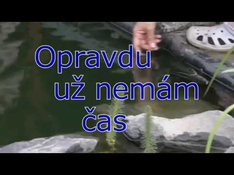 nemam cas