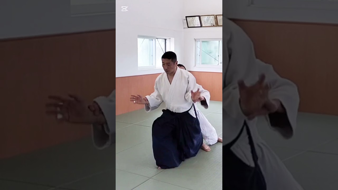 呼吸投/側面入身投 #合気道 #aikido #martialarts