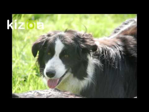 KIZOA-Movie-Maker-a2ngo0hl.mp4