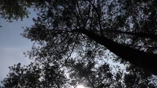 Download lagu Free Footage|Video Gratis|No Copyright| Pemandangan Desa mp3