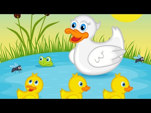 Duck and duckling#beautiful nature#nosheen