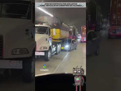 🪰🥛 QUEDÓ COMO MOSCA EN LECHE 🇨🇴