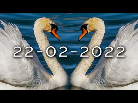 1106-IT INDAGINE, 22-02-2022 - Ipnosi Esoterica ∞ Lucio Carsi