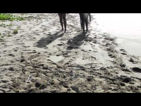 Clip officiel (With You) Malyk-Man,Bayou-Lover et Lam-la ( Smyky Prod )