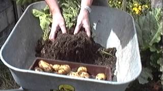 preview picture of video 'Pot Grown Potatoes'