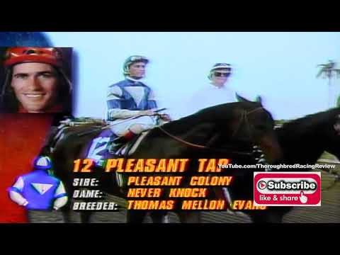 1992 Breeders Cup Classic   AP Indy for the Win