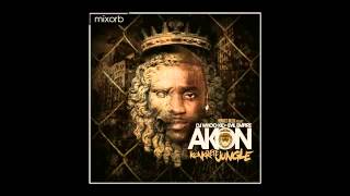 Akon - Salute 100 Ya&#39;ll ft. Money J _ Fabolous