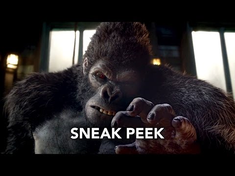 The Flash 2x07 Sneak Peek #2 "Gorilla Warfare" (HD)