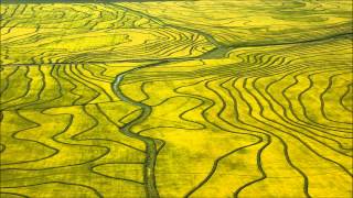 Eklo Ft. Jordin Laine - Feel So High (Pegato Remix)