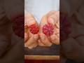 Healthy Homemade Gummies