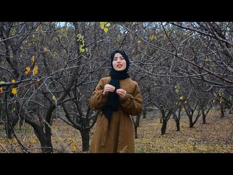 Şule KARAMAN-(Deniz TOPRAK ft Resul DİNDAR -Sebebi Sensin) - Türk İşaret Dili