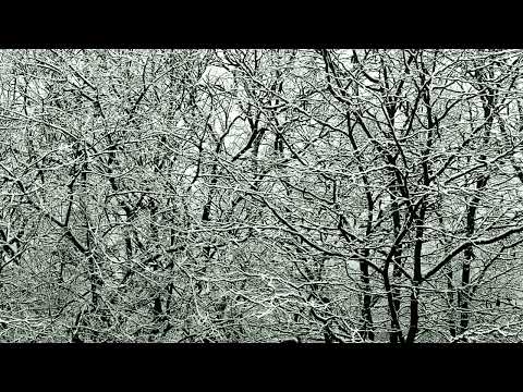 Bizet, RCA Victor Orchestra And The Robert Shaw Chorale – Highlights From Carmen