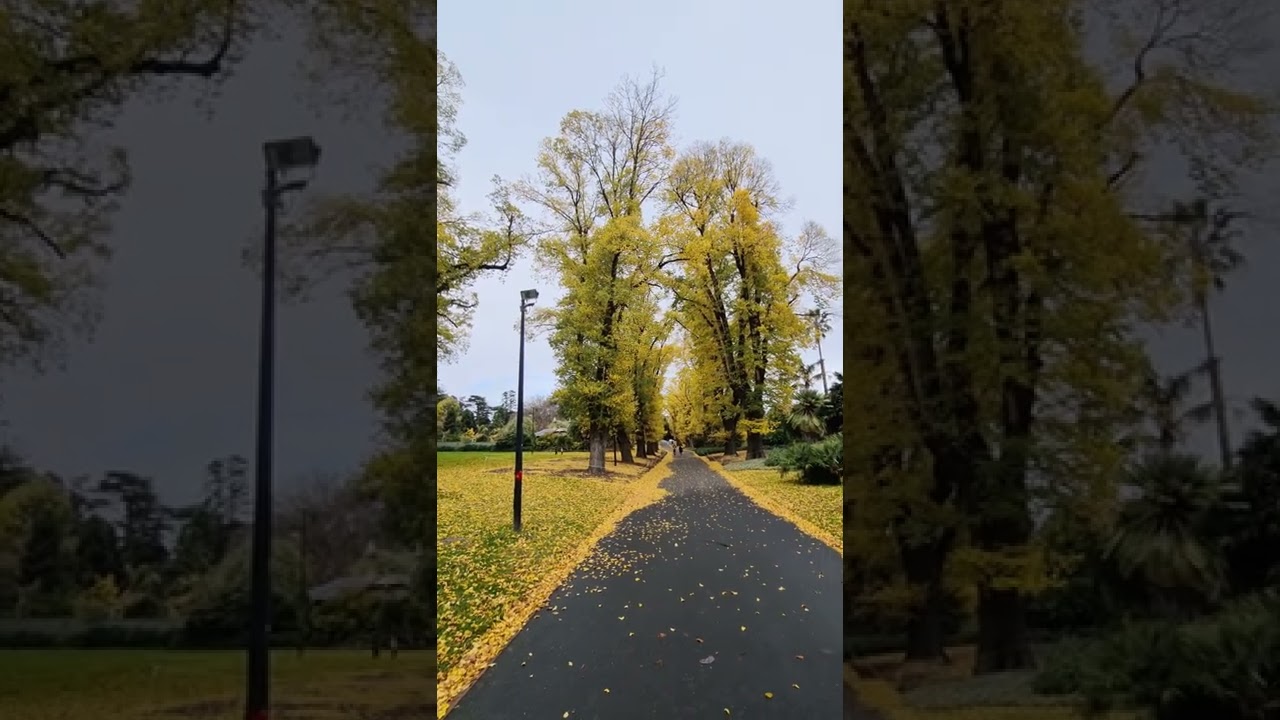 YouTube Short thumbnail