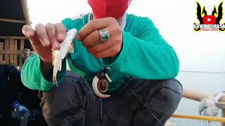 Download lagu Cara Mancing Cantik Paling Cepat Dapat Ikan #fishingmania #ambyar #mancingcantik mp3 Download lagu Cara Mancing Cantik Paling Cepat Dapat Ikan #fishingmania #ambyar #mancingcantik mp3