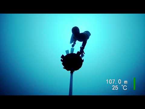 World Record AIDA CWT -105m Alessia Zecchini
