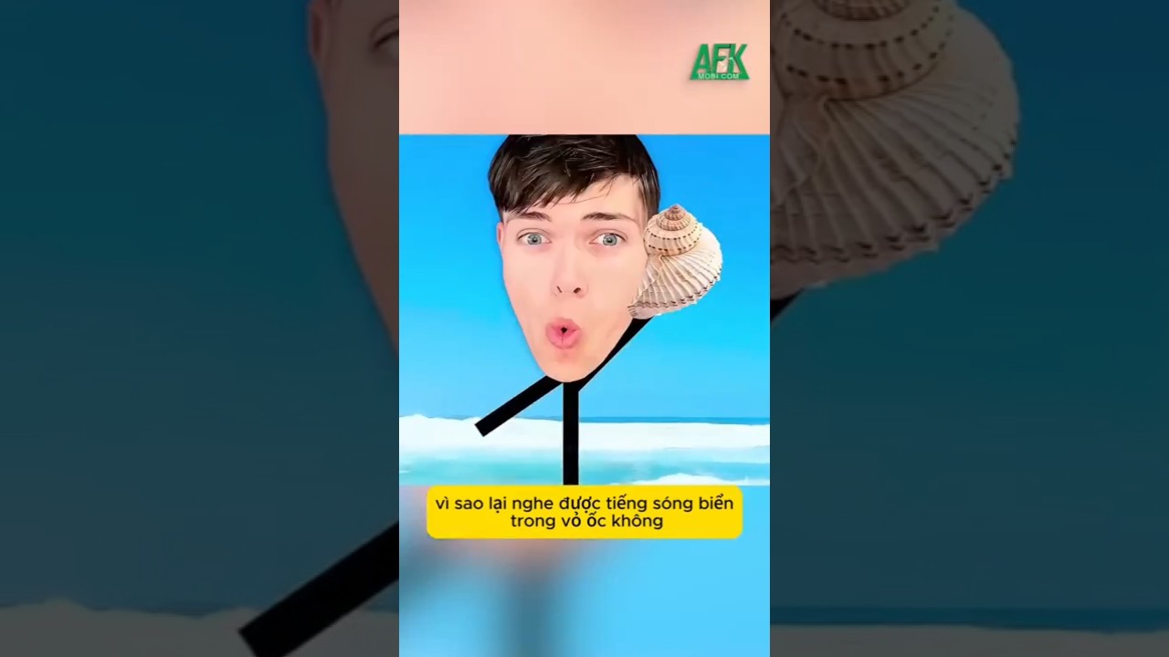 Lý do bạn nghe được tiếng sóng biển trong vỏ ốc