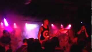 Versus The Mirror (Live) - The Daydream Chronicles