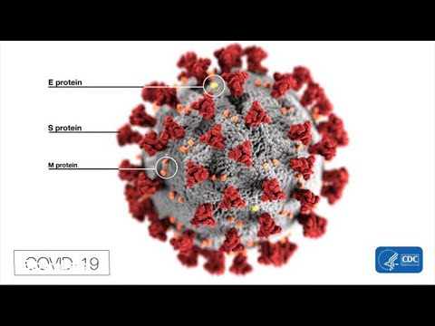 Virus Impact on Global GDP Will Be 'Catastrophic,' Pascal Lamy Warns