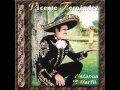 COMO DICE EL REFRAN-VICENTE FERNANDEZ