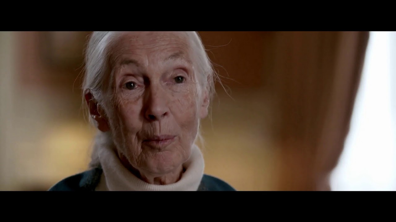 Food for Change Trailer