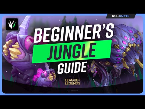 The COMPLETE Beginners Guide to JUNGLE for SEASON 14 - League of Legends
