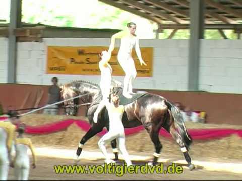 Süddeutsche Meisterschaft 2010 - Seniorteams 02 Team Masterhorse Leonberg