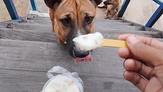Watching her eat makes me hungry too