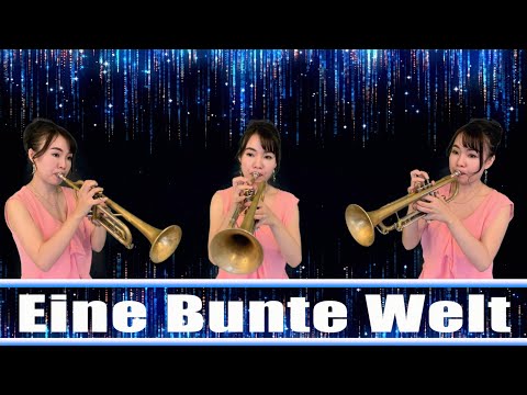 園芸 巻きひげのあるビニョーネ、オレンジのビニョーネ、バージニアのトランペット