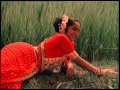 Paayum Pulli Aappa Kada Song