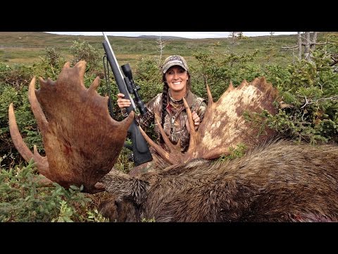 download lagu mp3 mp4 Moose Hunting Newfoundland, download lagu Moose Hunting Newfoundland gratis, unduh video klip Moose Hunting Newfoundland
