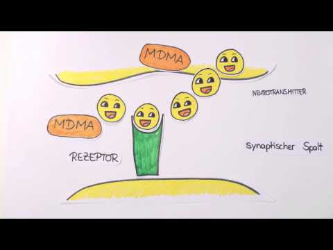 MDMA - Was passiert in meinem Gehirn?
