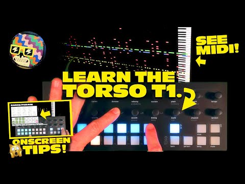 The Strange Torso T1 Sequencer EXPLAINED Step by Step.