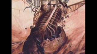 Suffer -  Temporary Sane