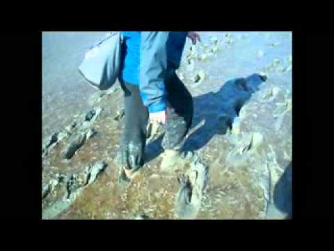 UMGS EGEA Exchange Malta - Groningen